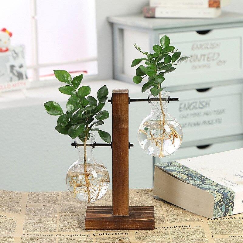 Vertical Bloom Glass Propagator