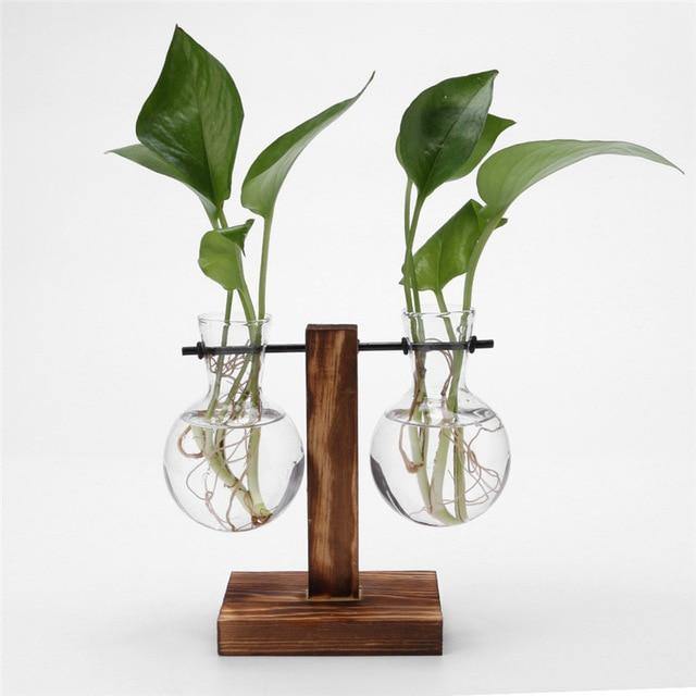Vertical Bloom Glass Propagator